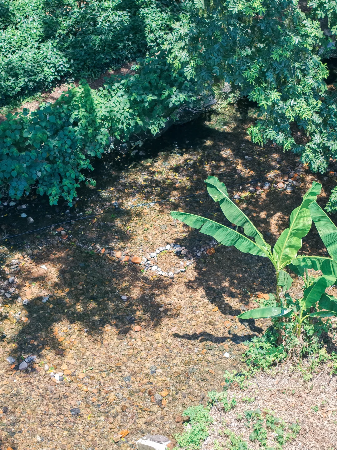 周末溜娃|去梅家坞的茶山小溪玩水