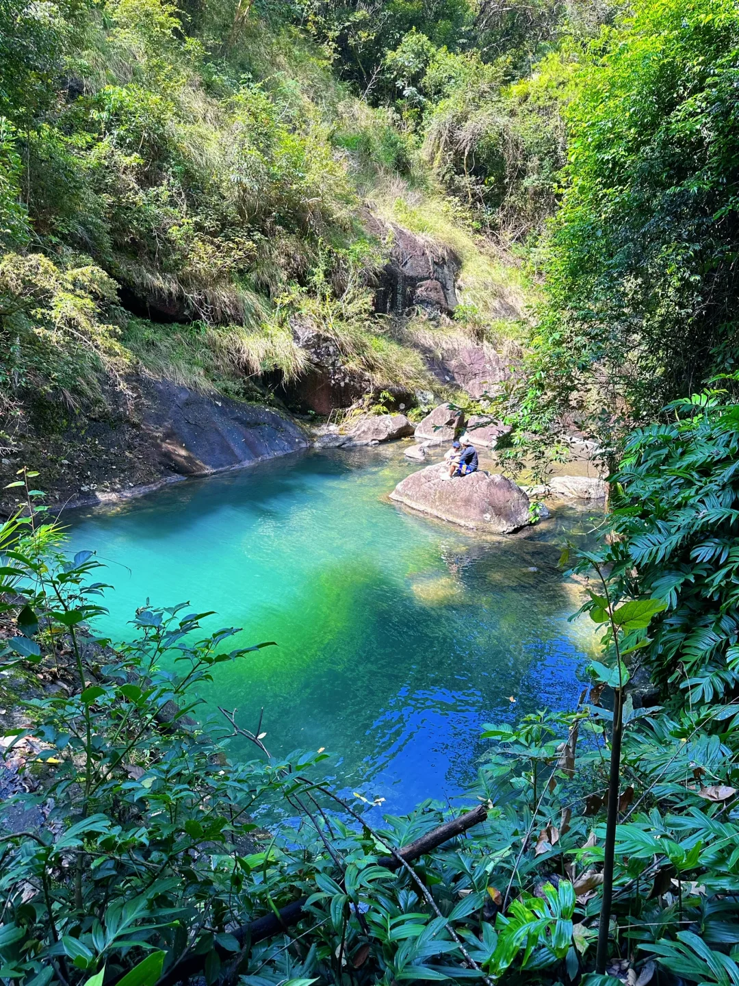 胜在人少‼️被严重低估的森林公园🌲超好玩😉