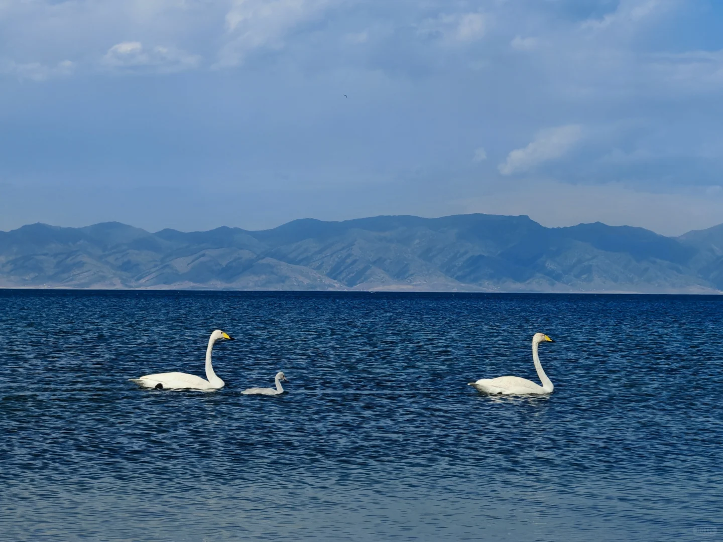 6.28—7.4 伊犁环线自驾七日游完美结束