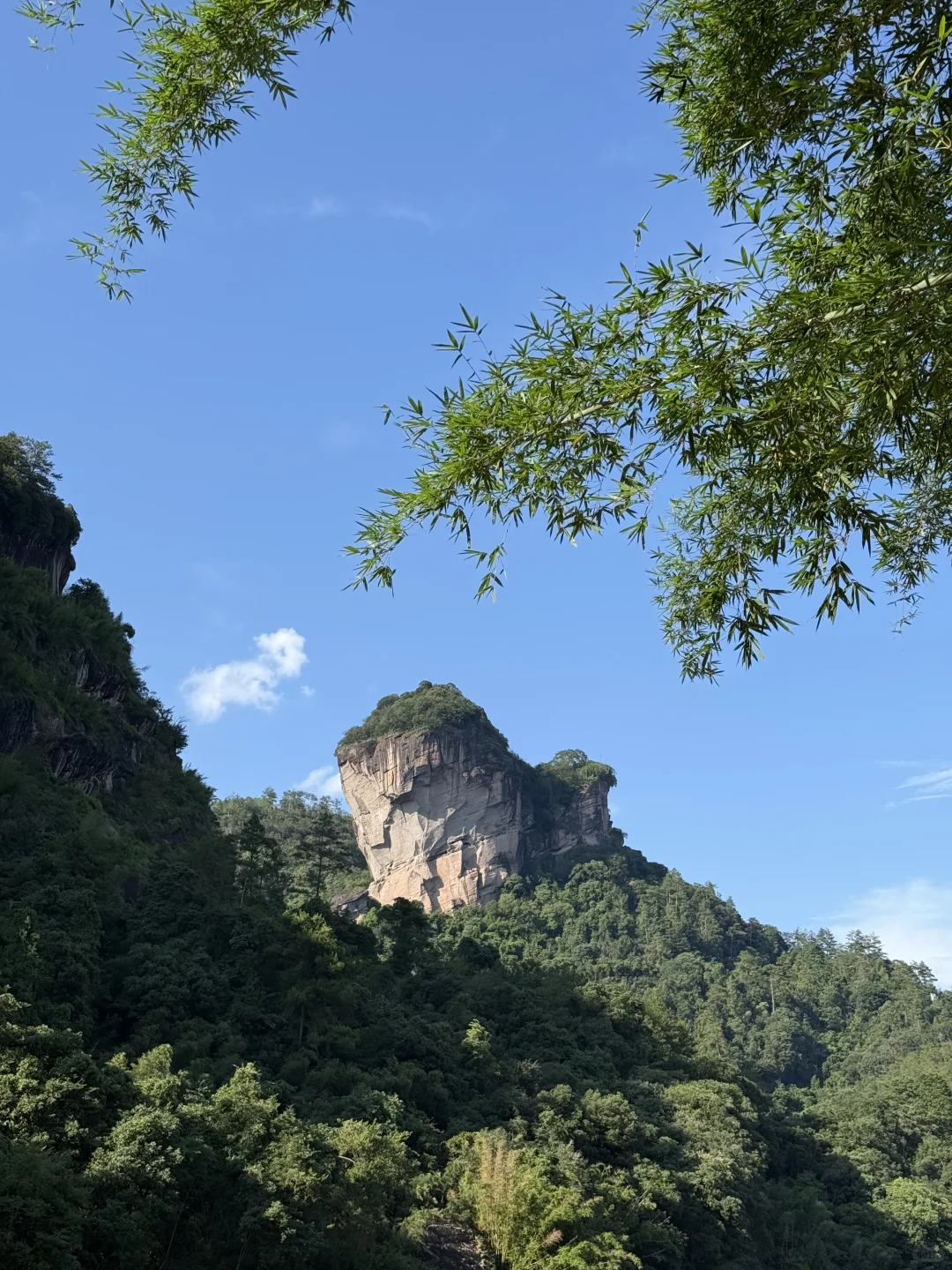 建议看完这篇再去武夷山！！！