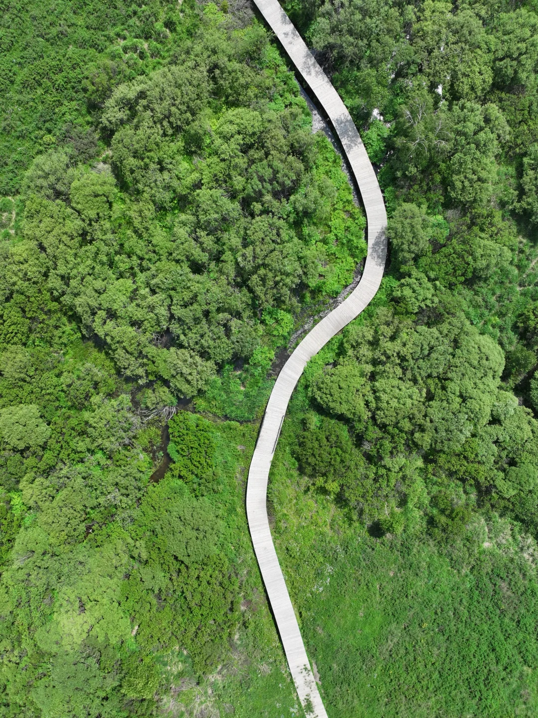 坝上草原刚开放了一个新景区❗最全攻略来了