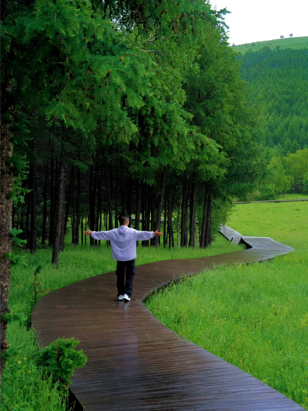 北京出发🚗4h｜被严重低估的童话森林秘境