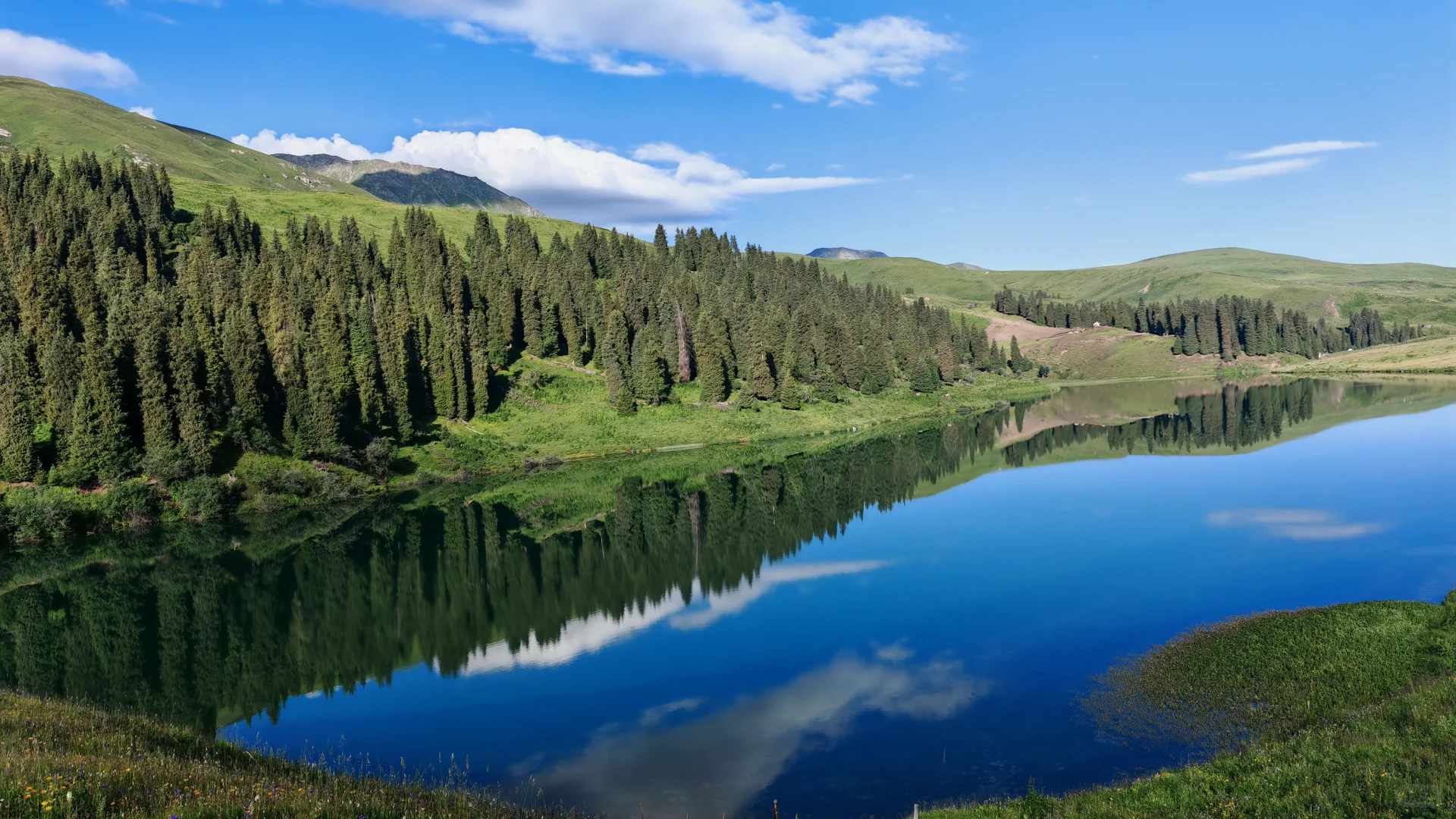 6.28—7.4 伊犁环线自驾七日游完美结束