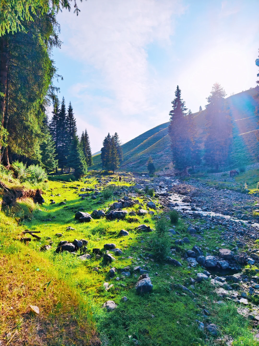 乌鲁木齐直达的出片神地！不允许你不知道！