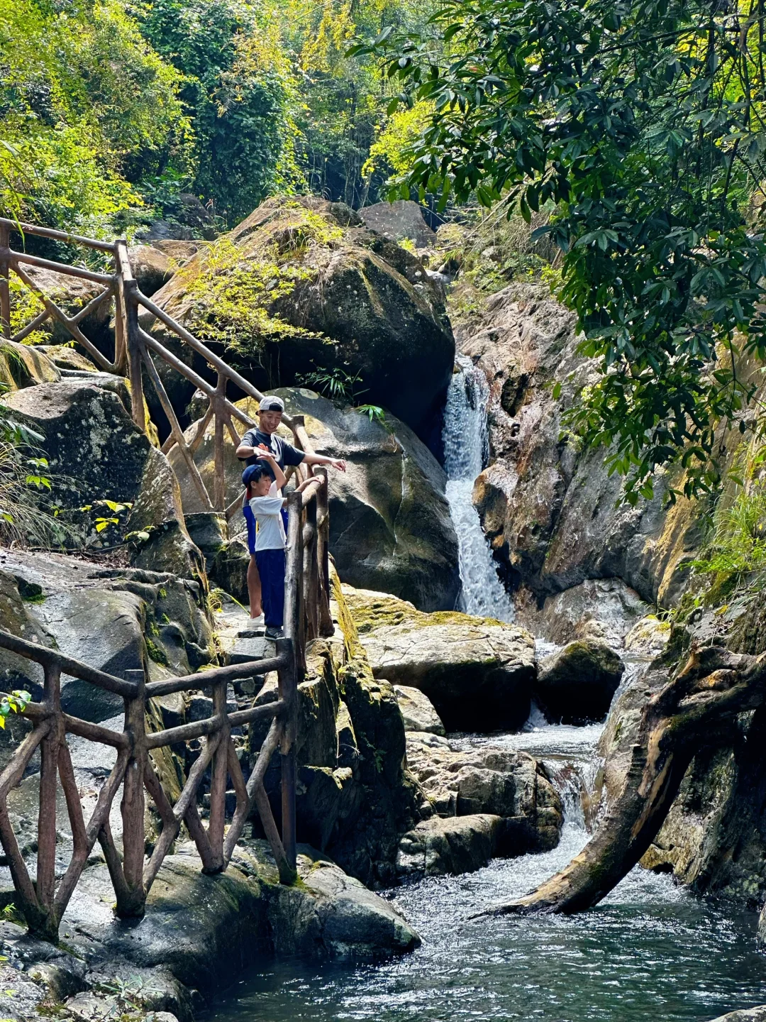 胜在人少‼️被严重低估的森林公园🌲超好玩😉