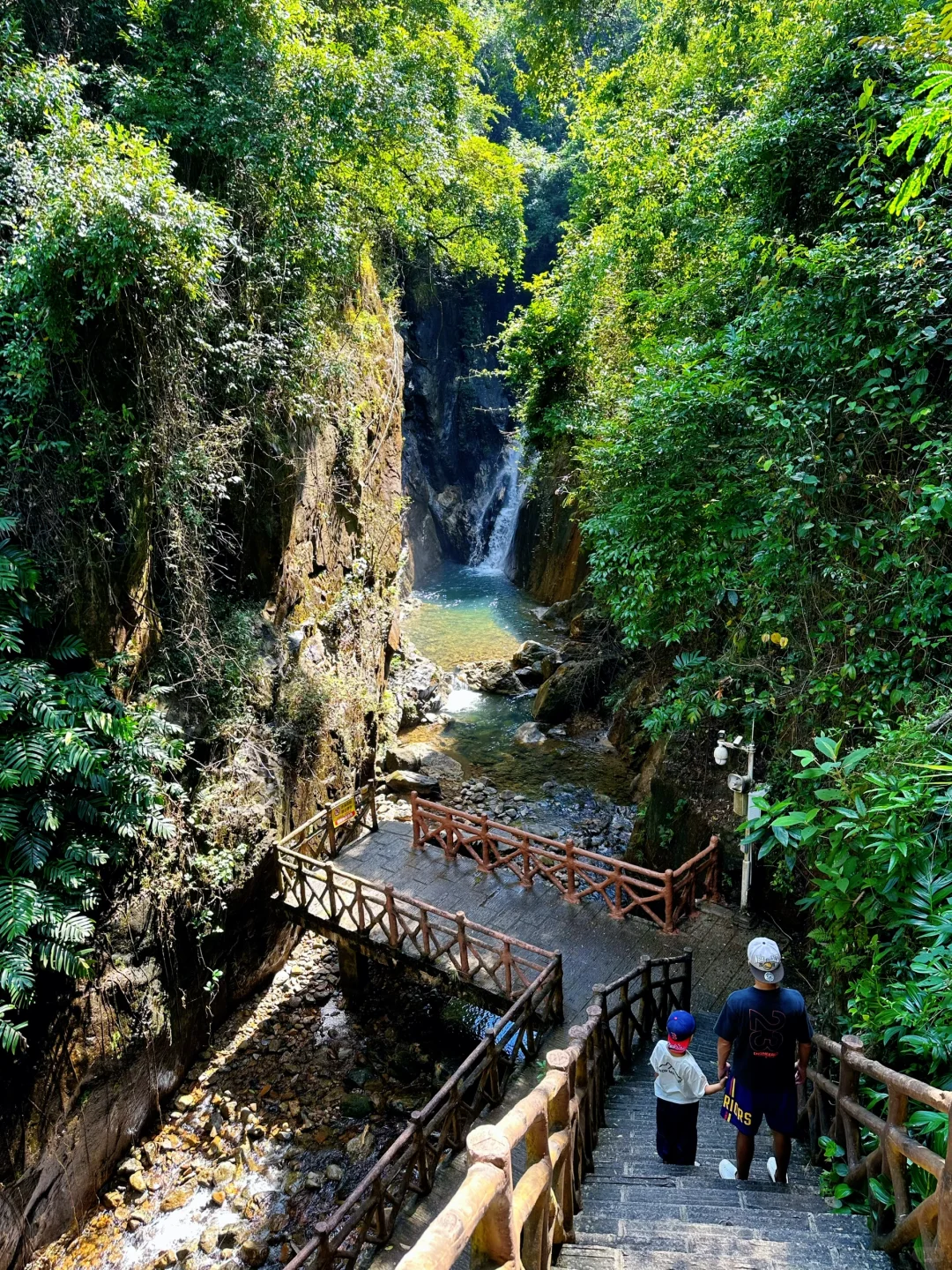 胜在人少‼️被严重低估的森林公园🌲超好玩😉