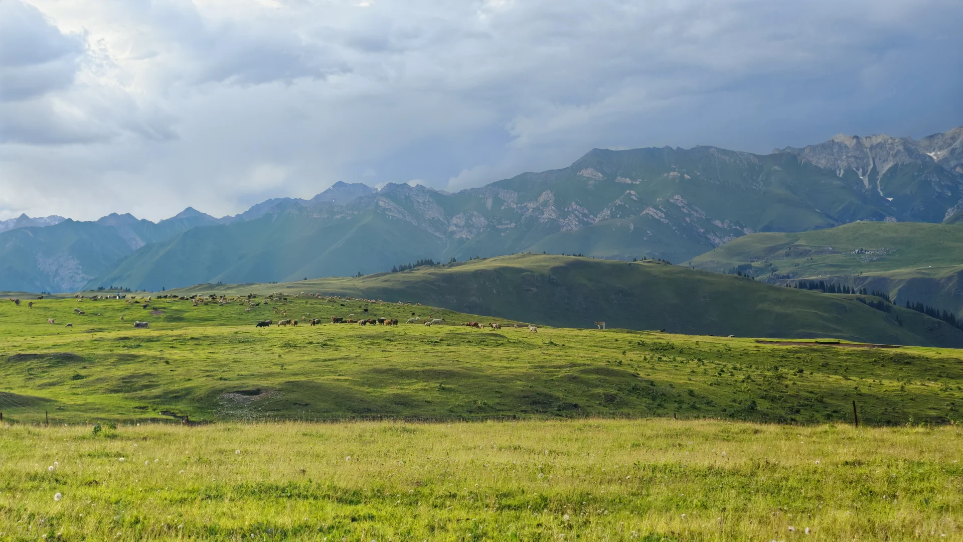 6.28—7.4 伊犁环线自驾七日游完美结束