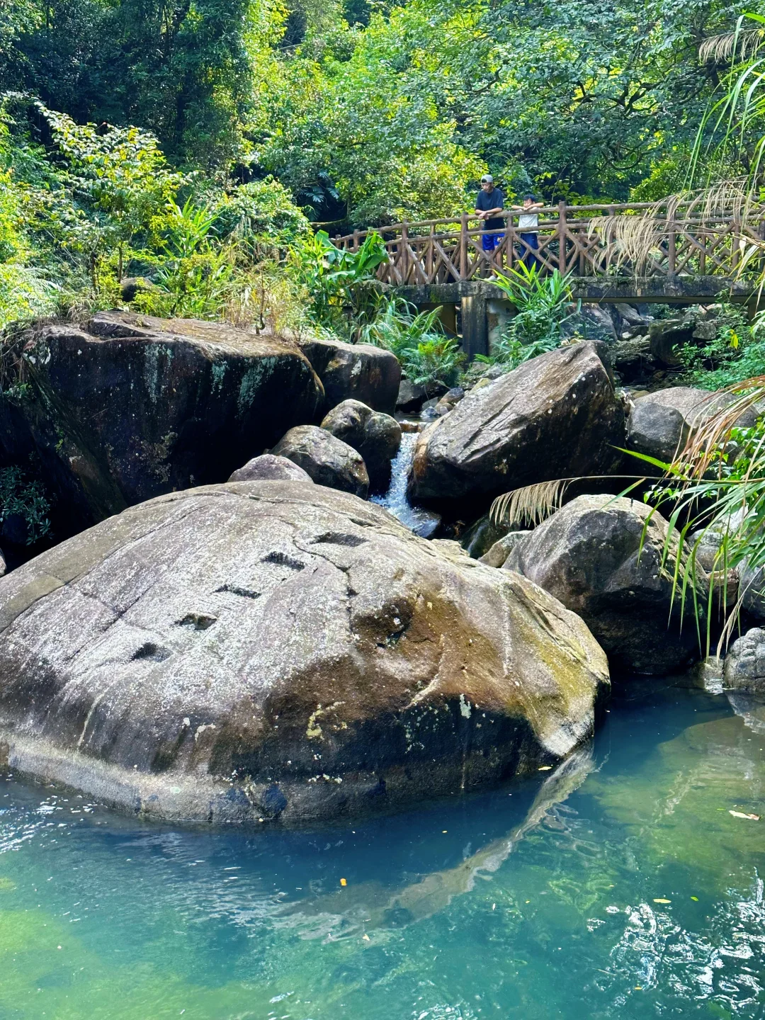 胜在人少‼️被严重低估的森林公园🌲超好玩😉