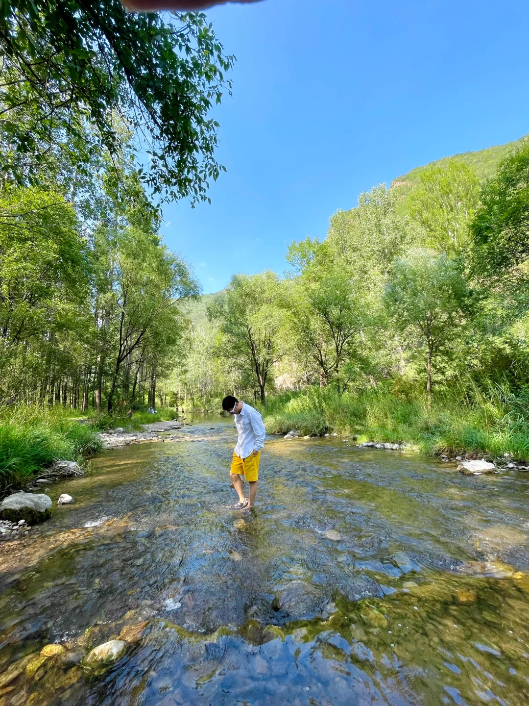 7.5｜刚回亲测‼️露营玩水遛娃溯溪天花板在这