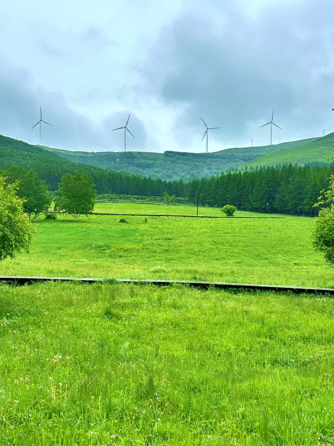 北京出发🚗4h｜被严重低估的童话森林秘境