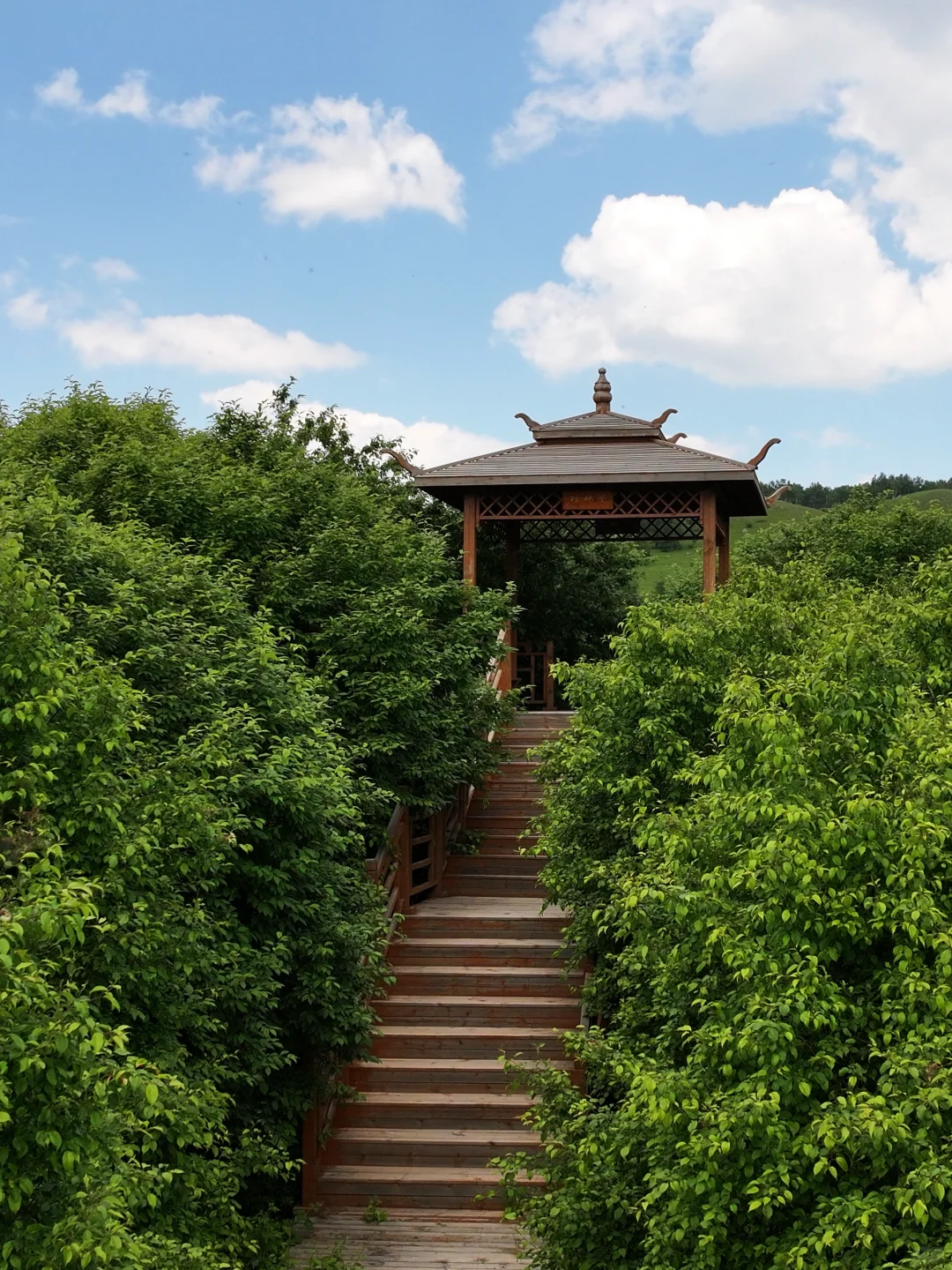 坝上草原刚开放了一个新景区❗最全攻略来了