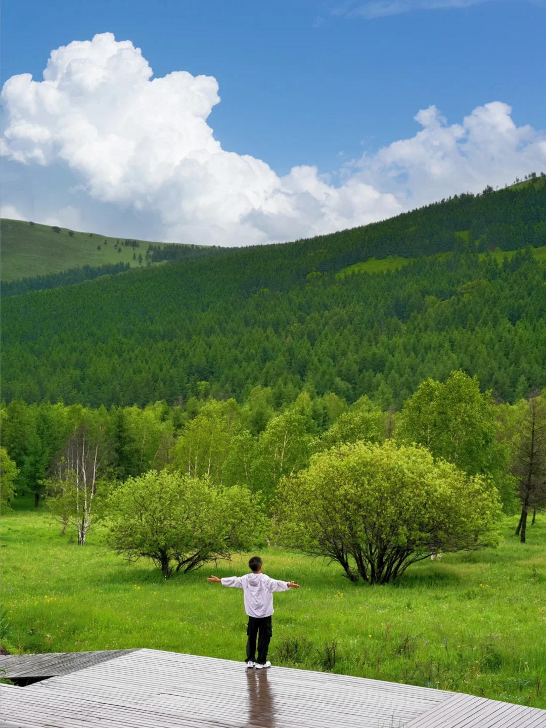 北京出发🚗4h｜被严重低估的童话森林秘境