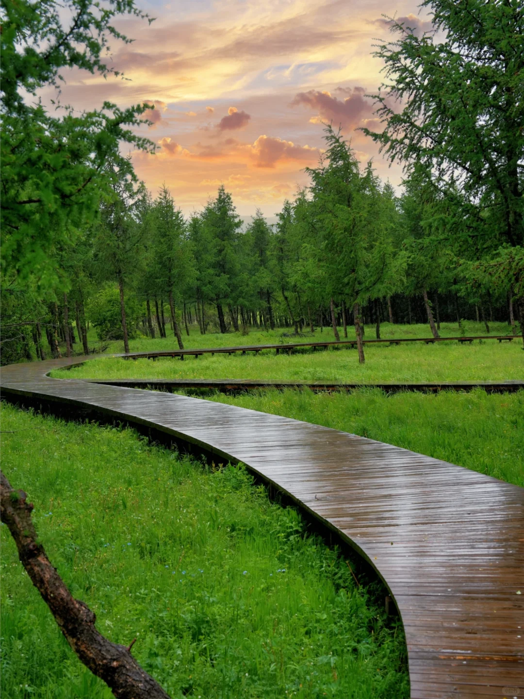 北京出发🚗4h｜被严重低估的童话森林秘境