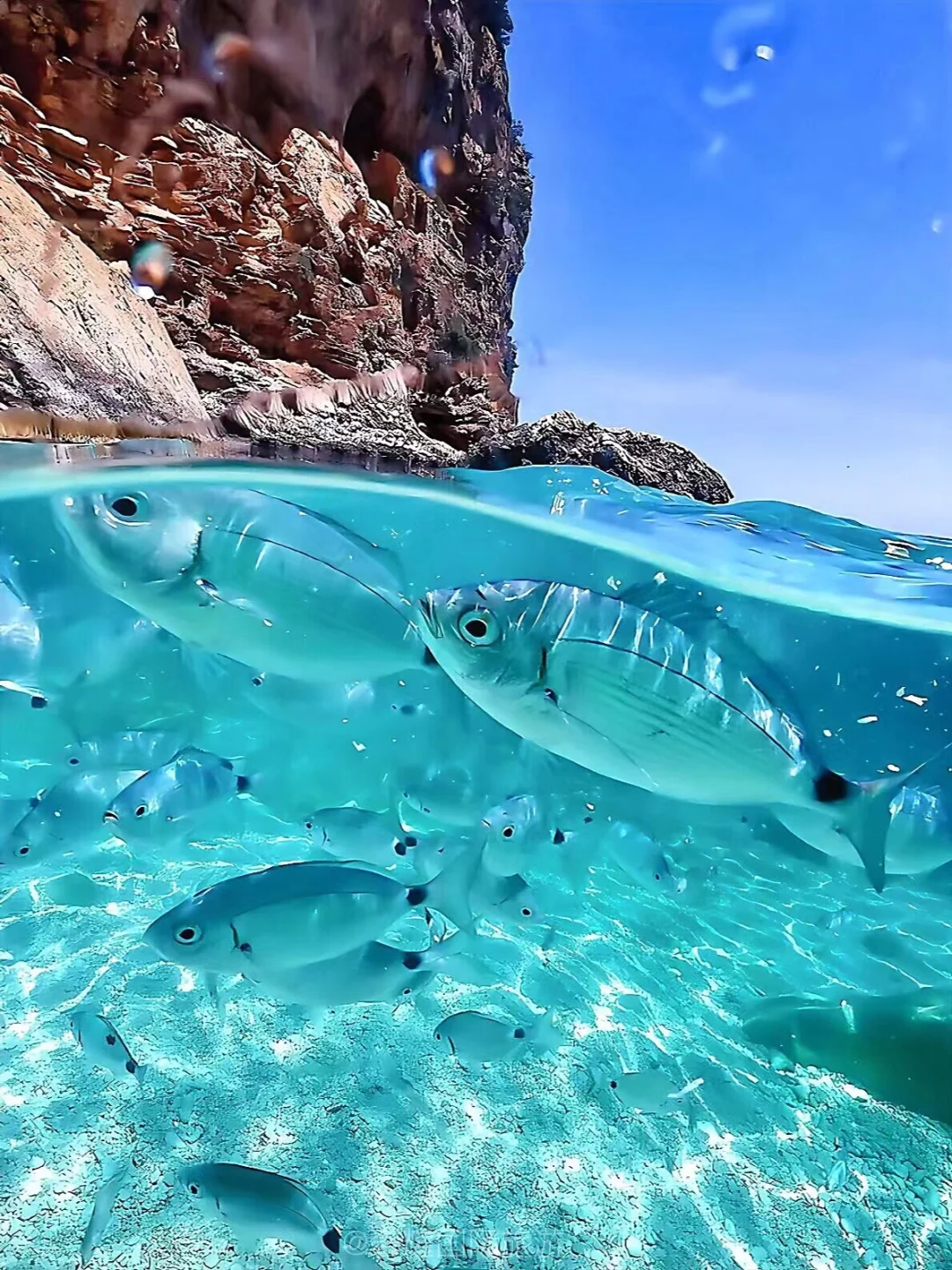 7-9月去斐济的，能劝一个是一个