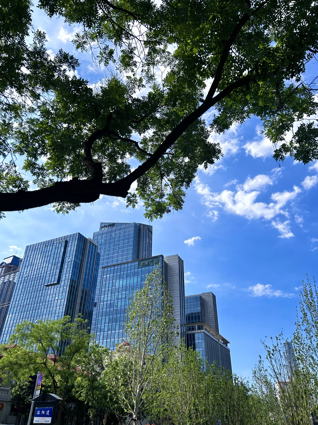 来欧洲city walk，跟天津似的