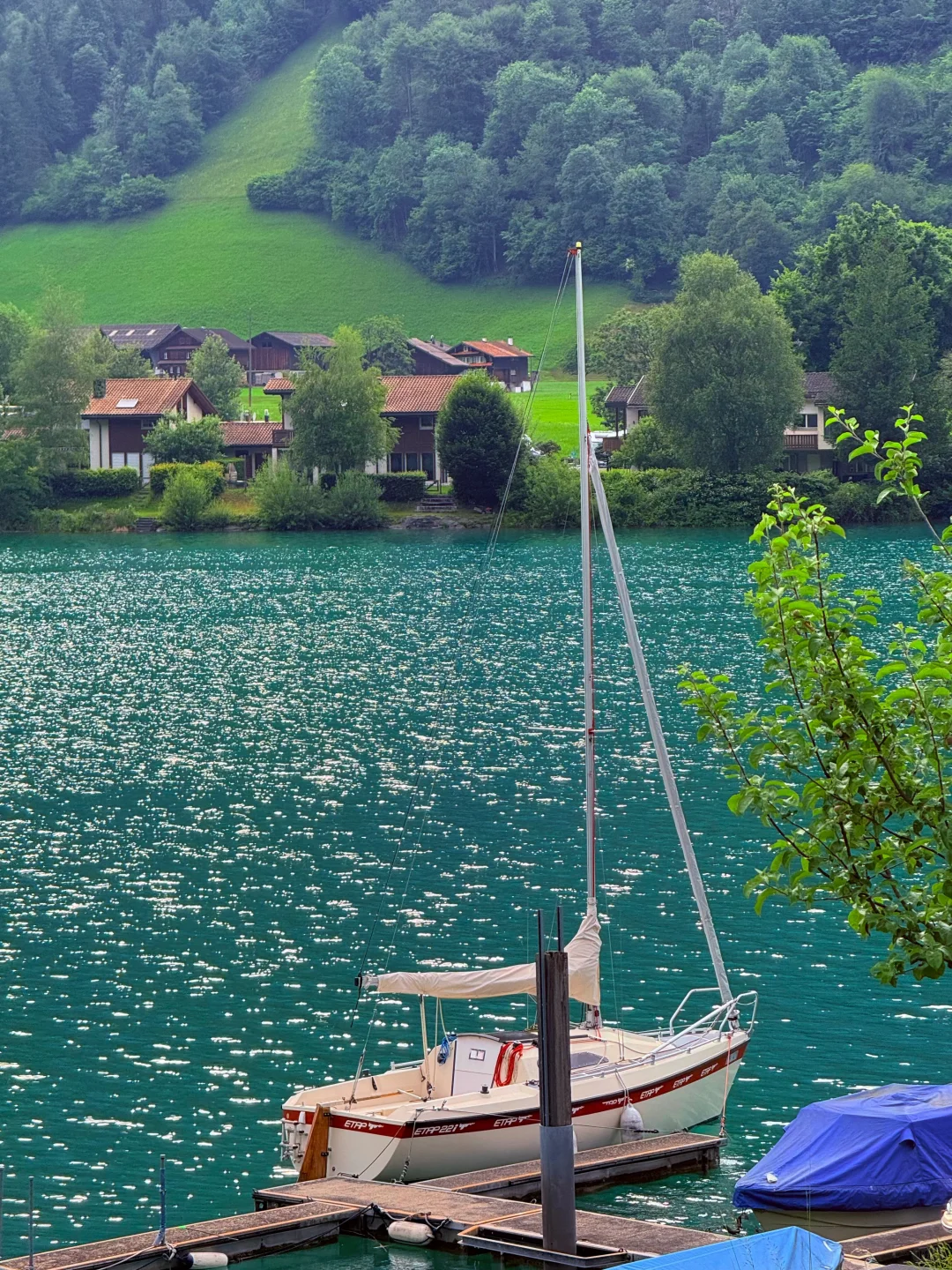 在阿尔卑斯山坐黄金列车⛰️