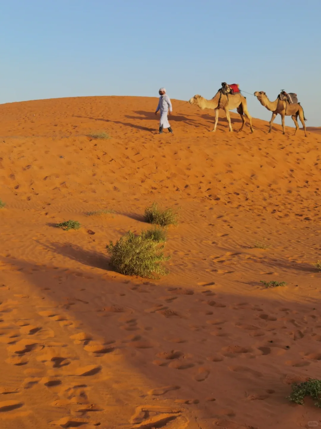 🔥免签直飞❗摩洛哥夏天玩到爽✅人少价香