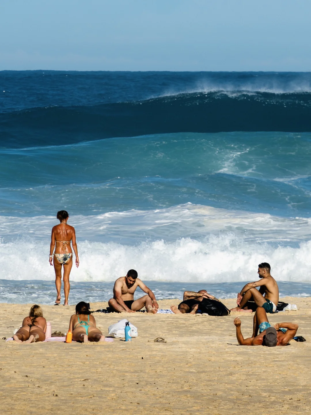 ✈️飞机降落前就会爱上的城市—悉尼