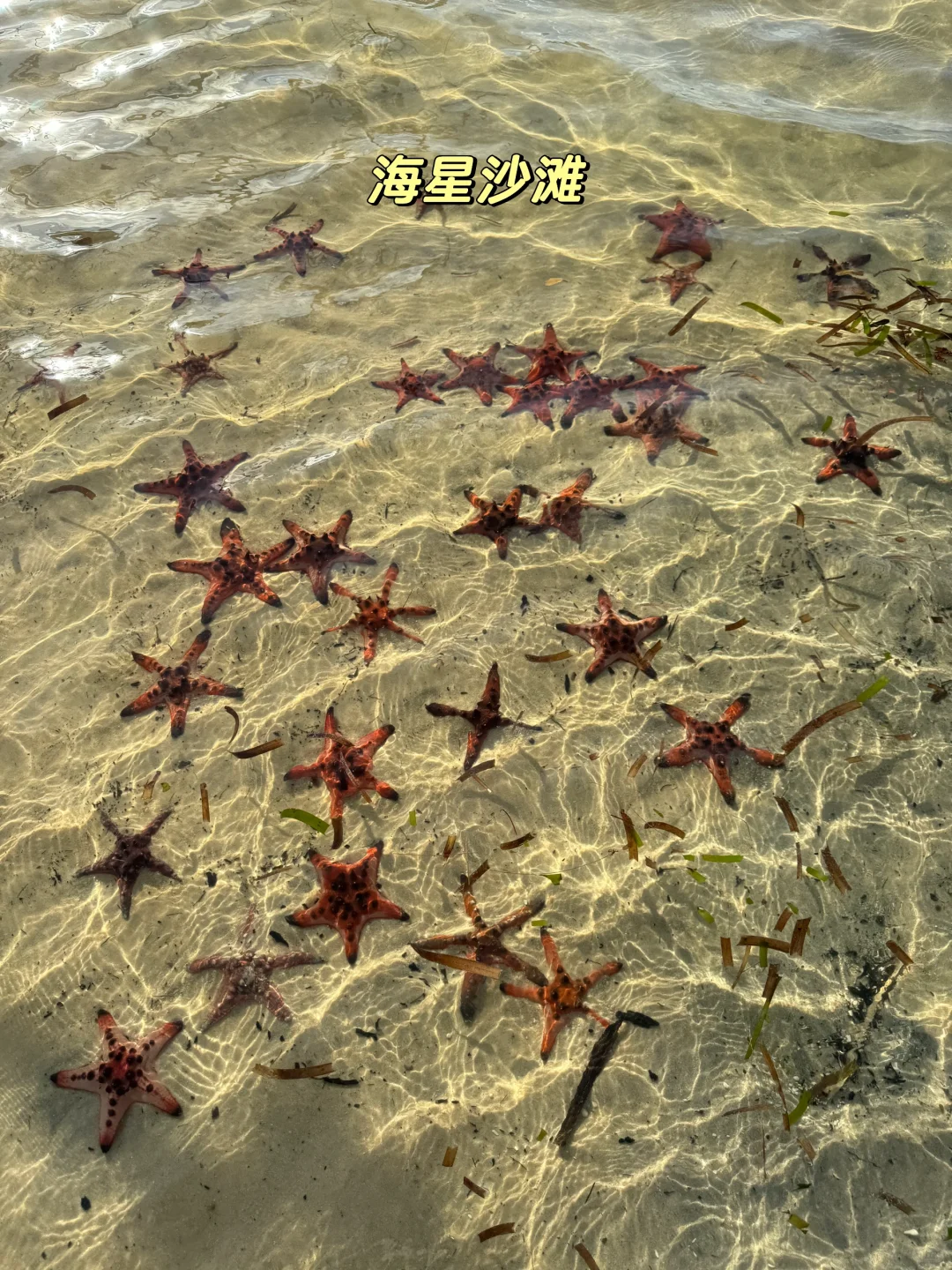 越南富国岛🇻🇳｜美哭了🥹人均花费4k💰