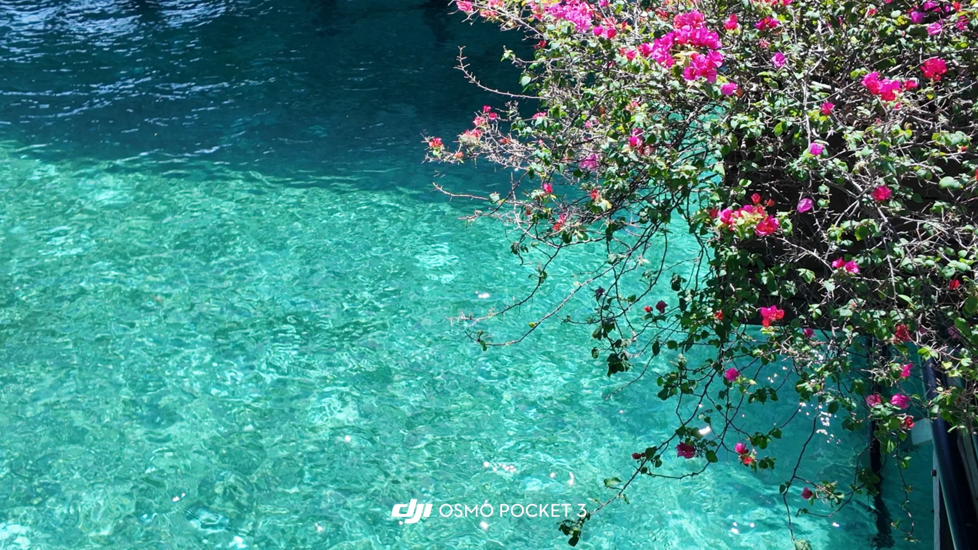 🇲🇾仙本那｜马布岛&卡帕莱跳岛游🤿附攻略版