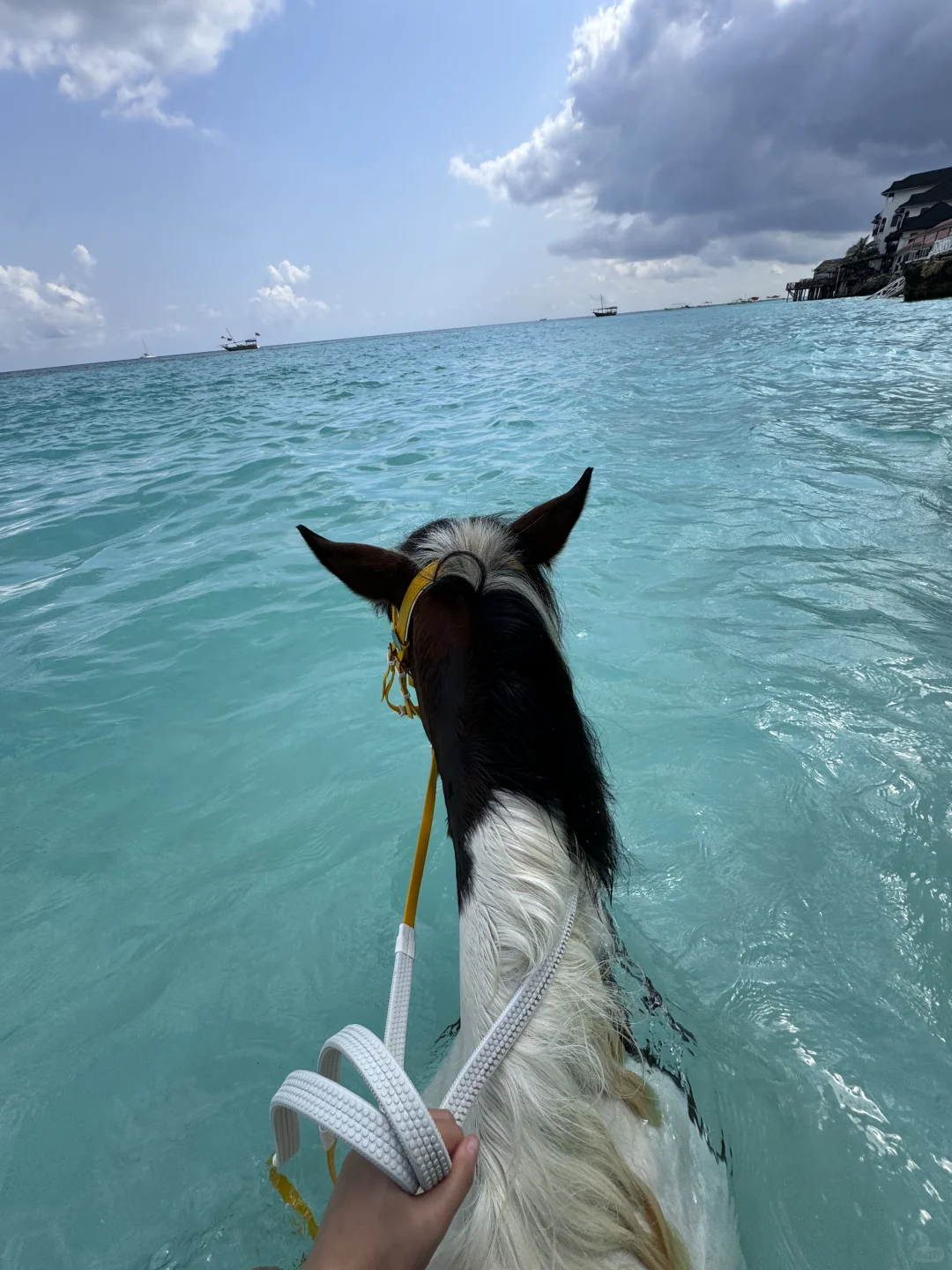 omg!在非洲骑马居然可以游进海里!!