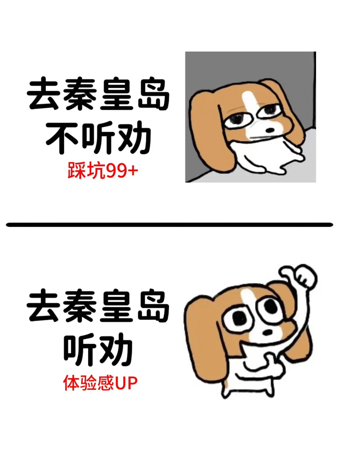 暑假去秦皇岛，听点不一样的大实话...