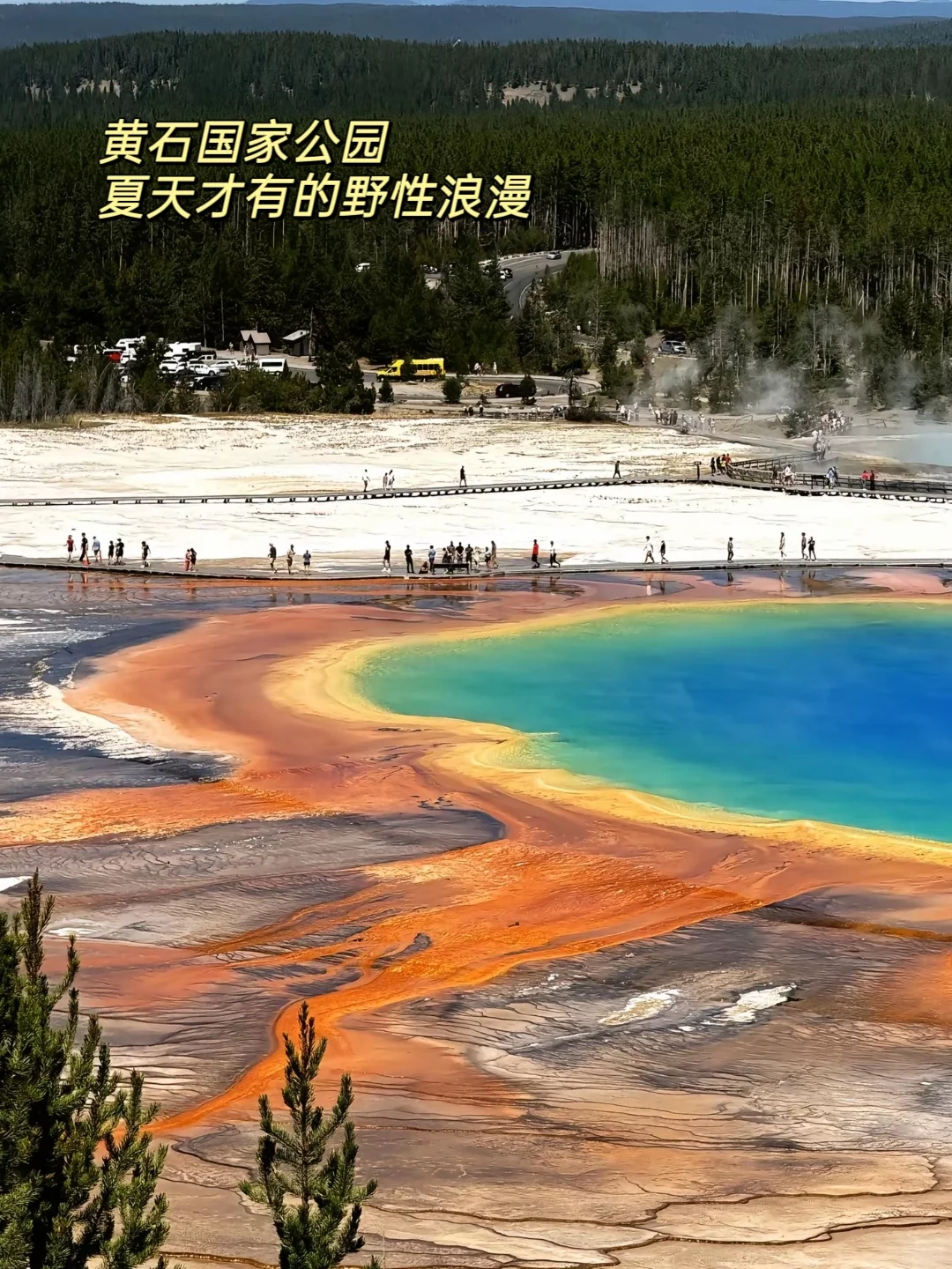 打工暂停！美国这6个地方夏天美到爆炸