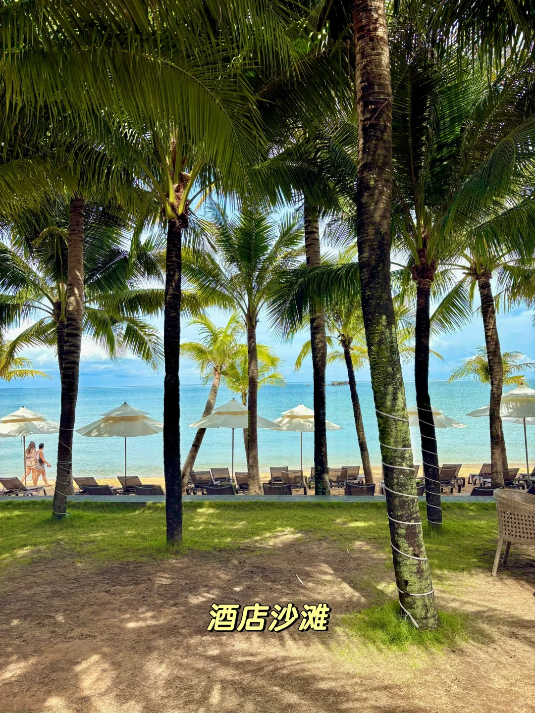 越南富国岛🇻🇳｜美哭了🥹人均花费4k💰