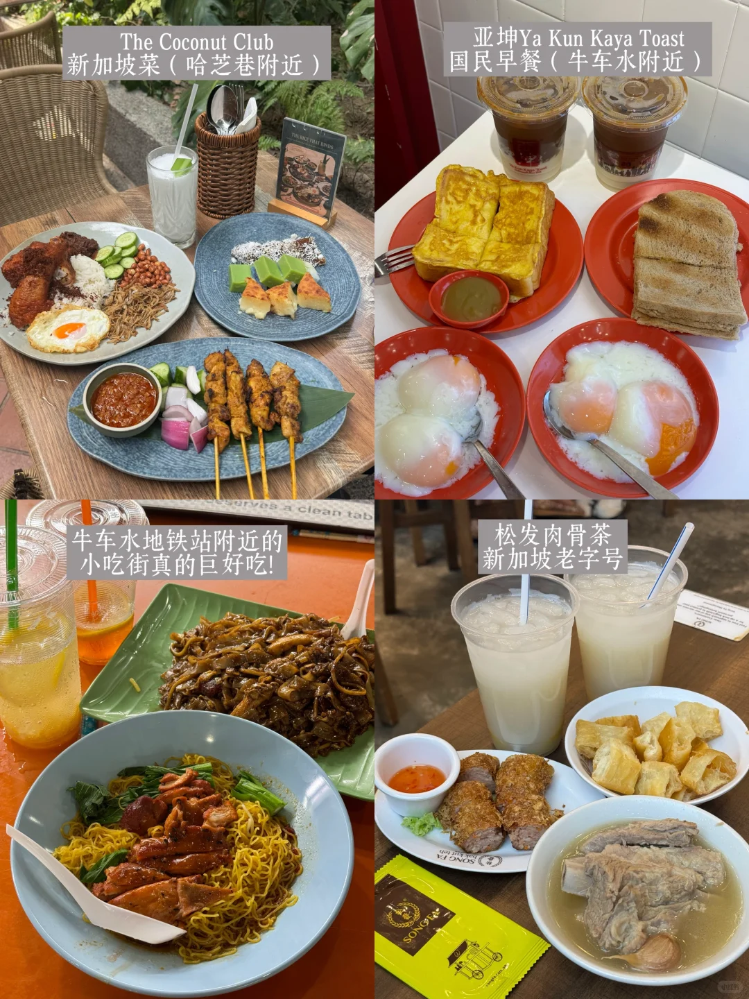 两天48h玩遍新加坡🇸🇬｜花园城市速通攻略！