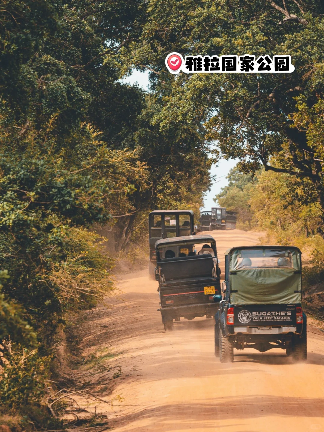 🌟【5k玩转斯里兰卡！7天6晚保姆级攻略】