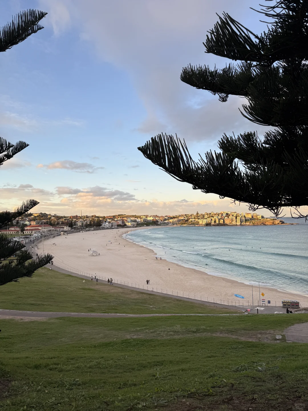 澳洲whv｜落地一个月感受