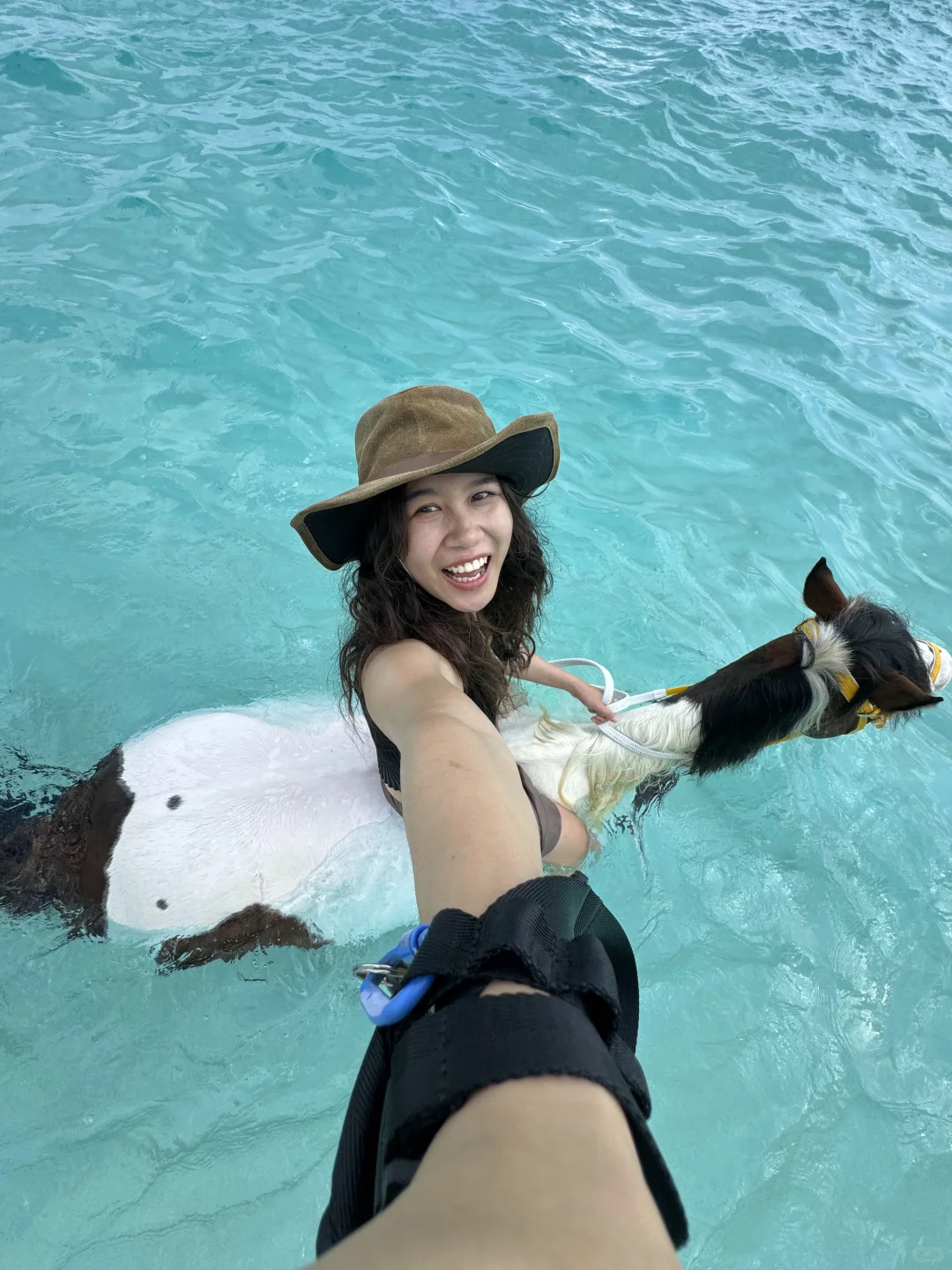 omg!在非洲骑马居然可以游进海里!!