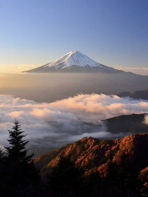 Mykonos米克诺斯岛｜爱琴海上的白色珍珠