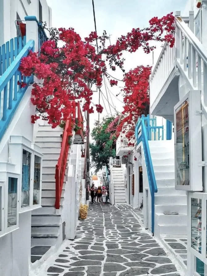 Mykonos米克诺斯岛｜爱琴海上的白色珍珠