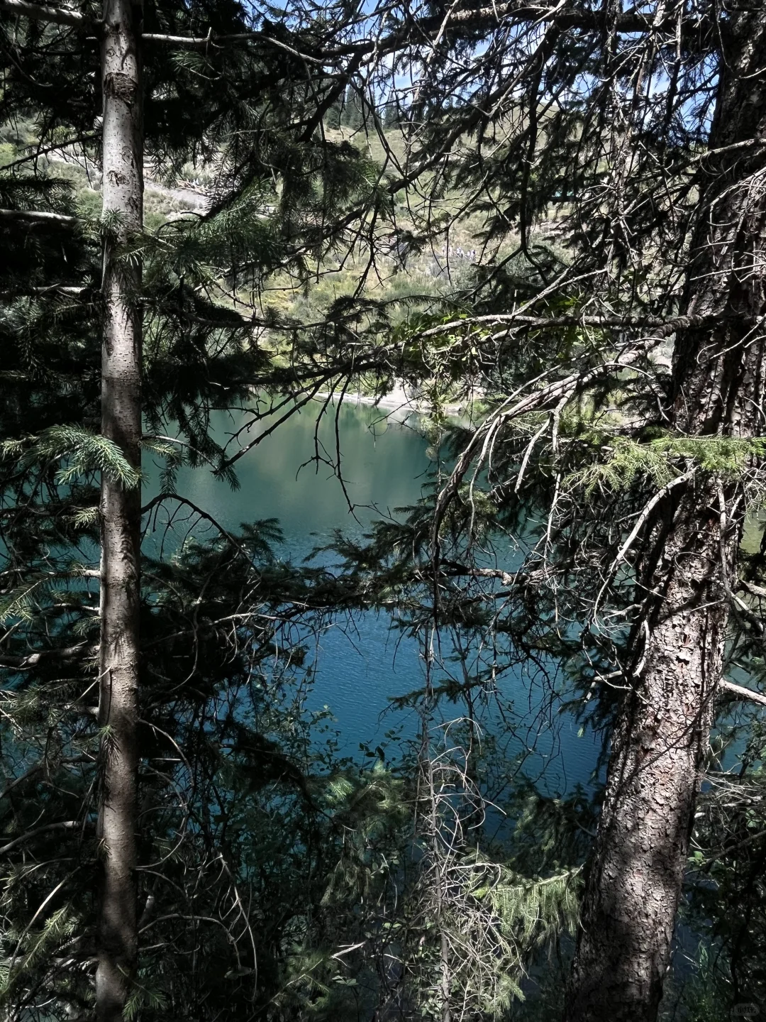 🇰🇿两湖一峡谷跟团repo：KKTOUR