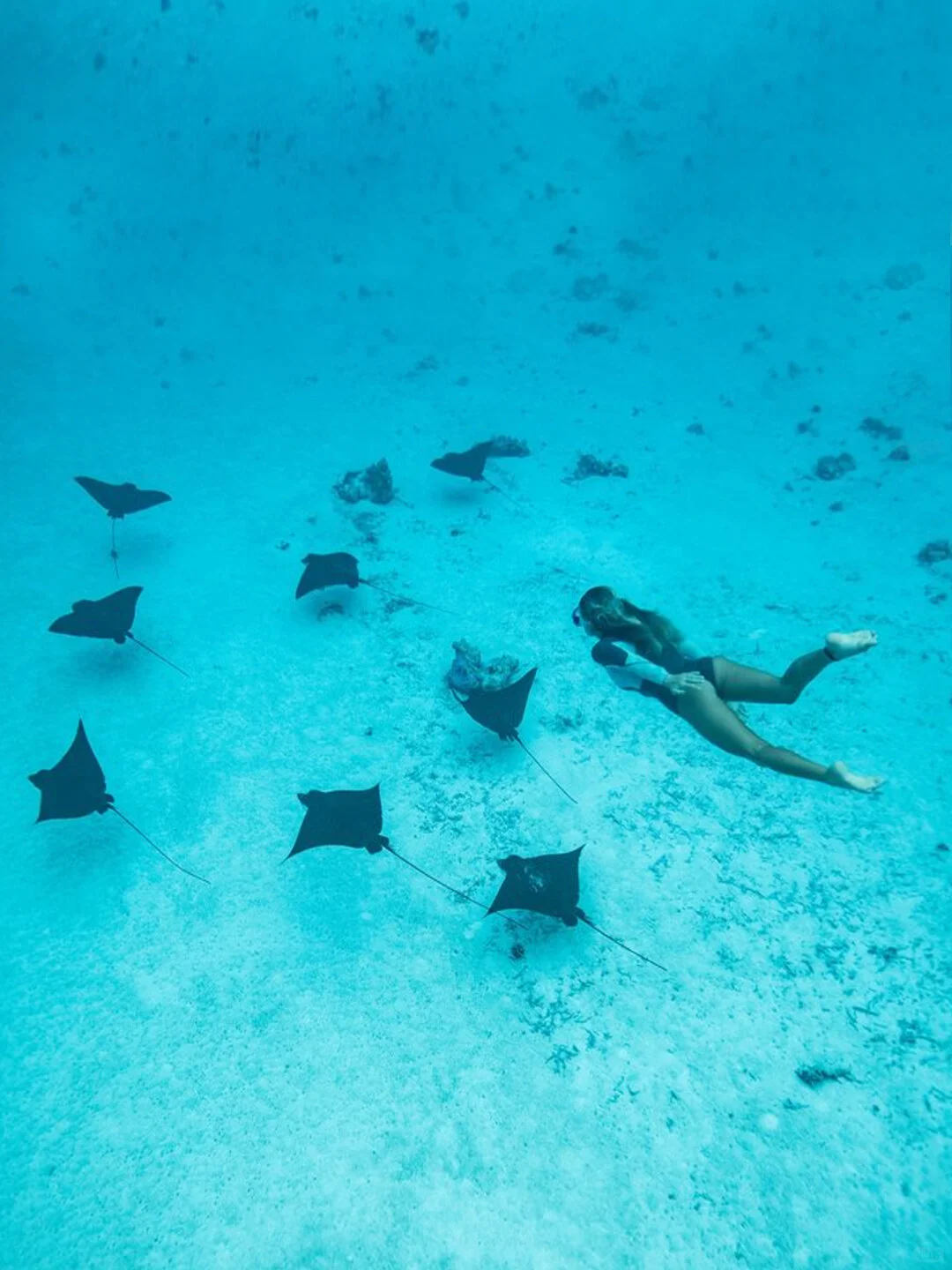 7-9月去斐济的，能劝一个是一个