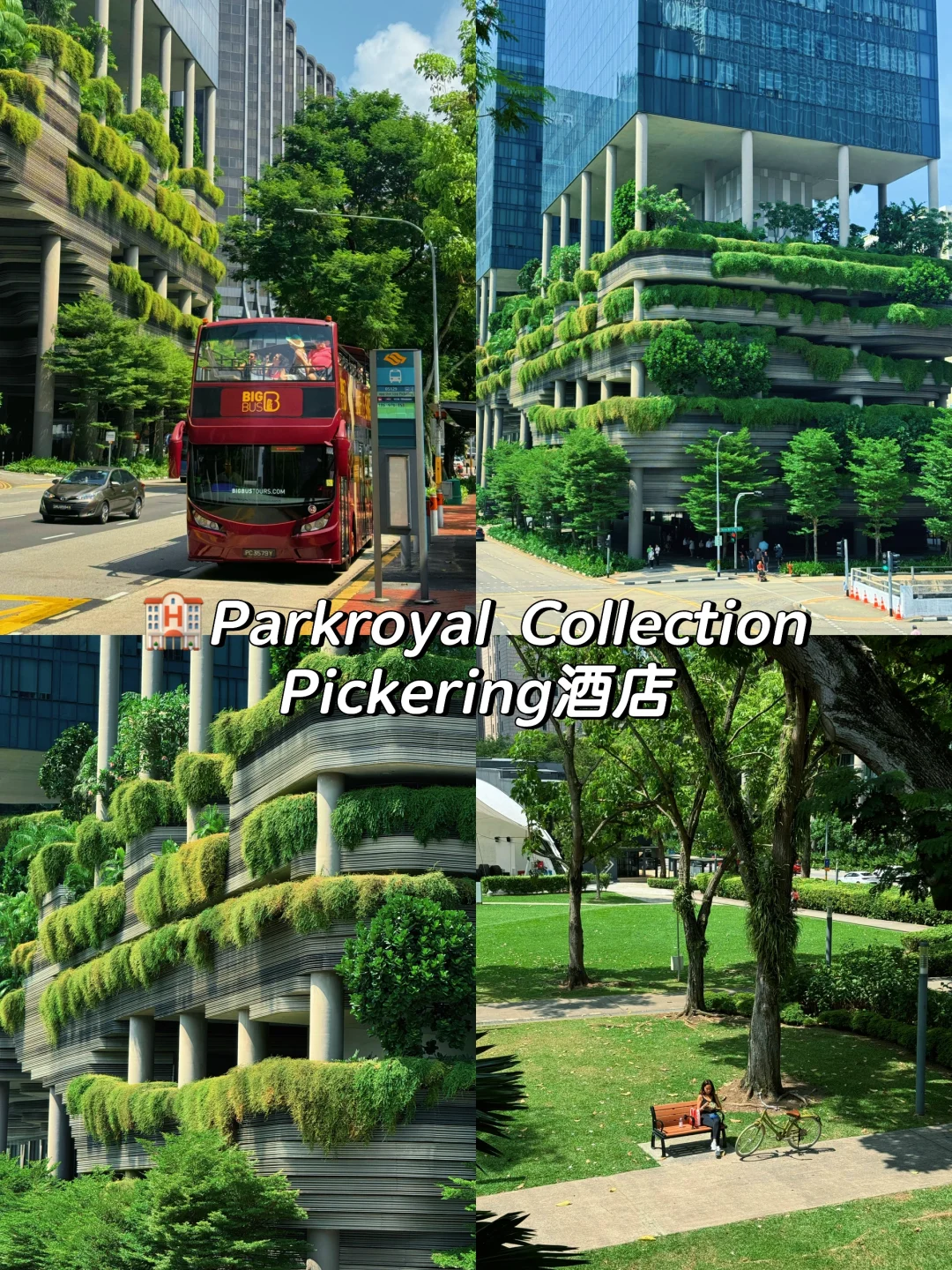 两天48h玩遍新加坡🇸🇬｜花园城市速通攻略！