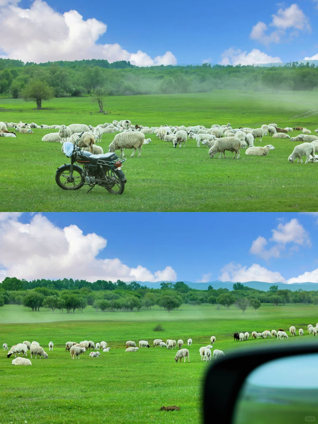 呼伦贝尔亲子游，娃哭着不愿意回来的攻略！