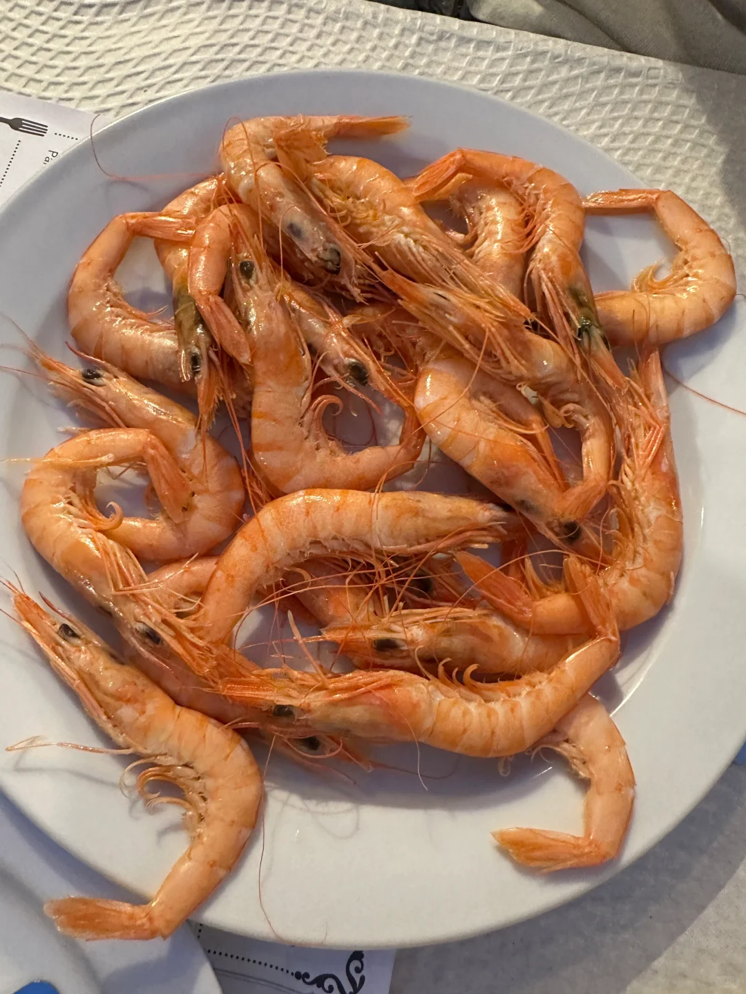 西班牙旅游推荐地：卡迪斯（Cádiz）