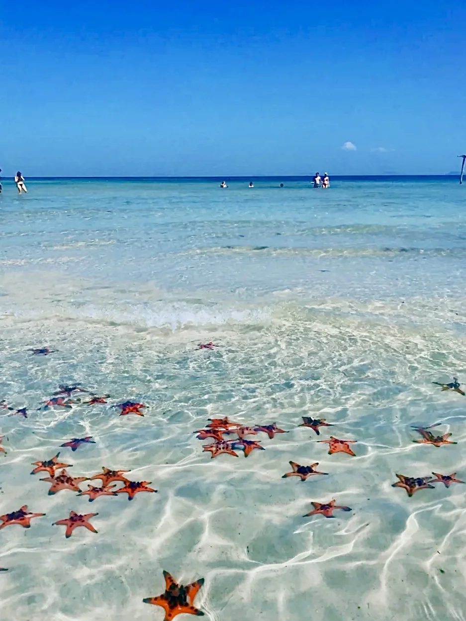 免签富国岛🇻🇳2h遛娃直飞塞尔达海边幻境❗️