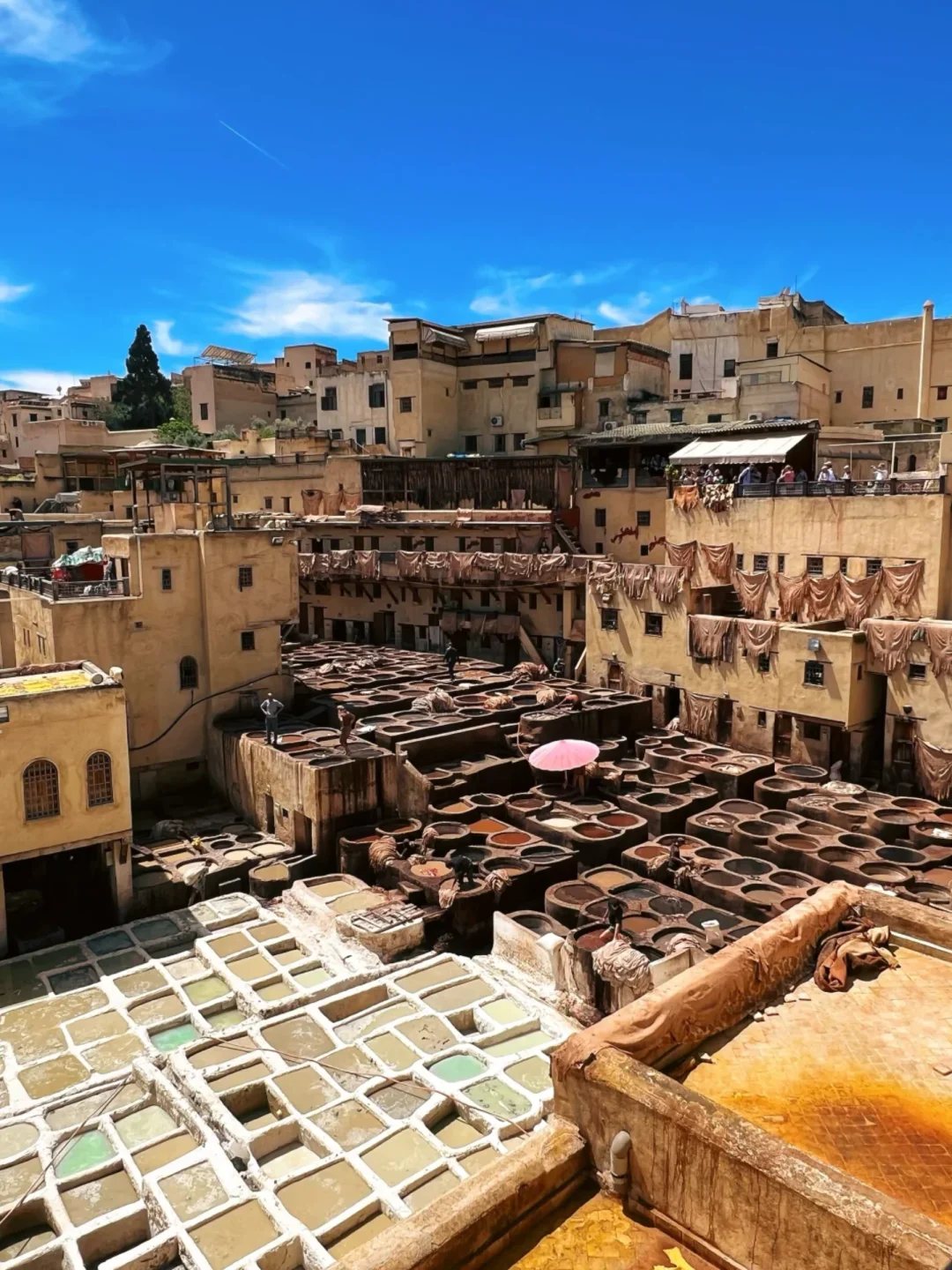 🔥免签直飞❗摩洛哥夏天玩到爽✅人少价香