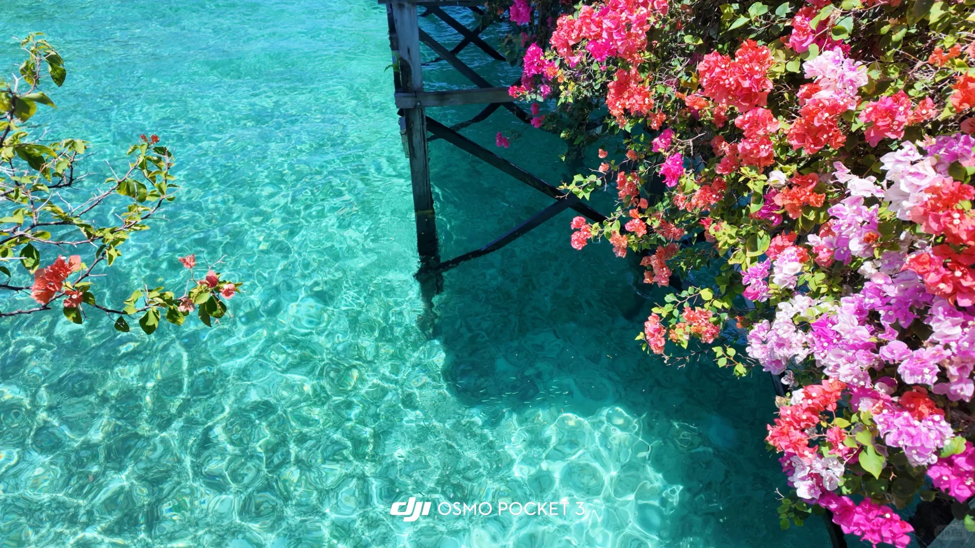 🇲🇾仙本那｜马布岛&卡帕莱跳岛游🤿附攻略版