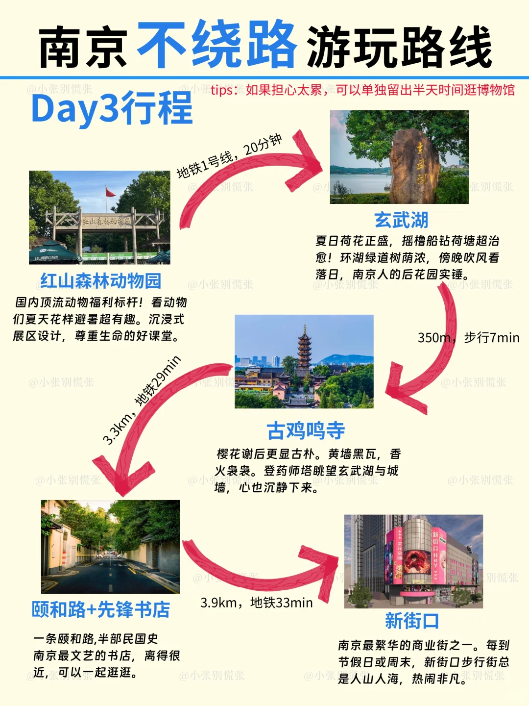 南京本地人建议｜暑假3日游｜不绕路攻略