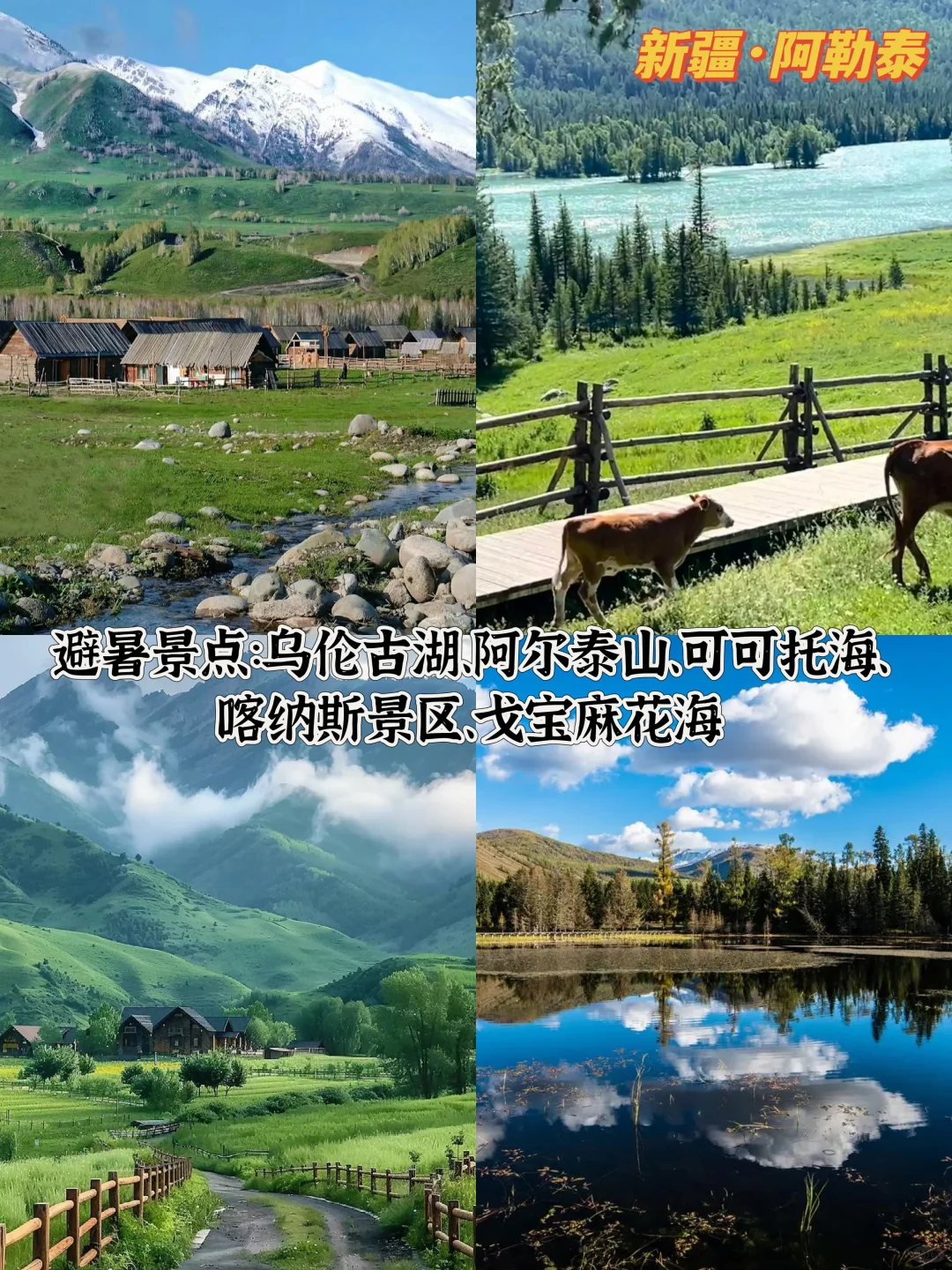 国内十大避暑圣地❗️凉快省钱又好玩