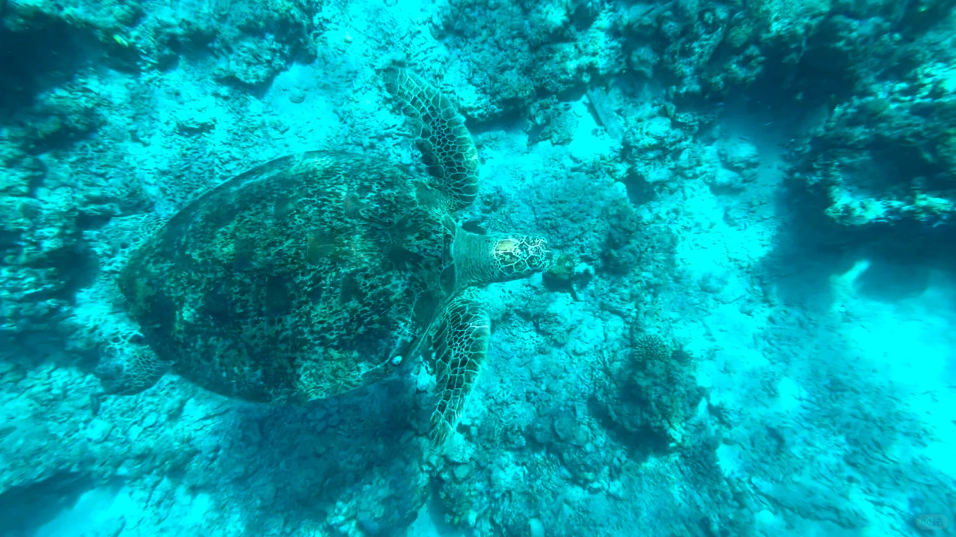 🇲🇾仙本那｜马布岛&卡帕莱跳岛游🤿附攻略版