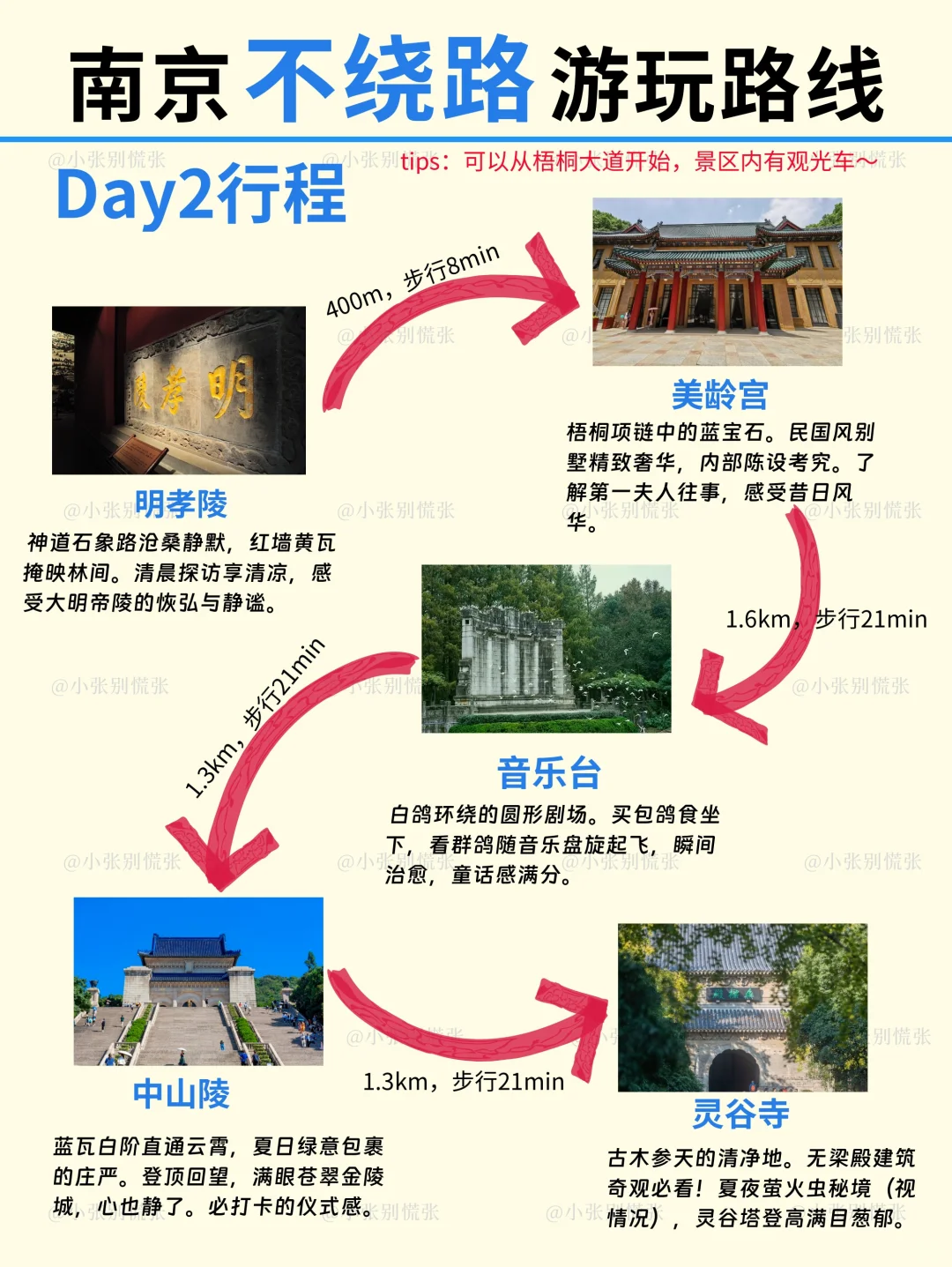 南京本地人建议｜暑假3日游｜不绕路攻略