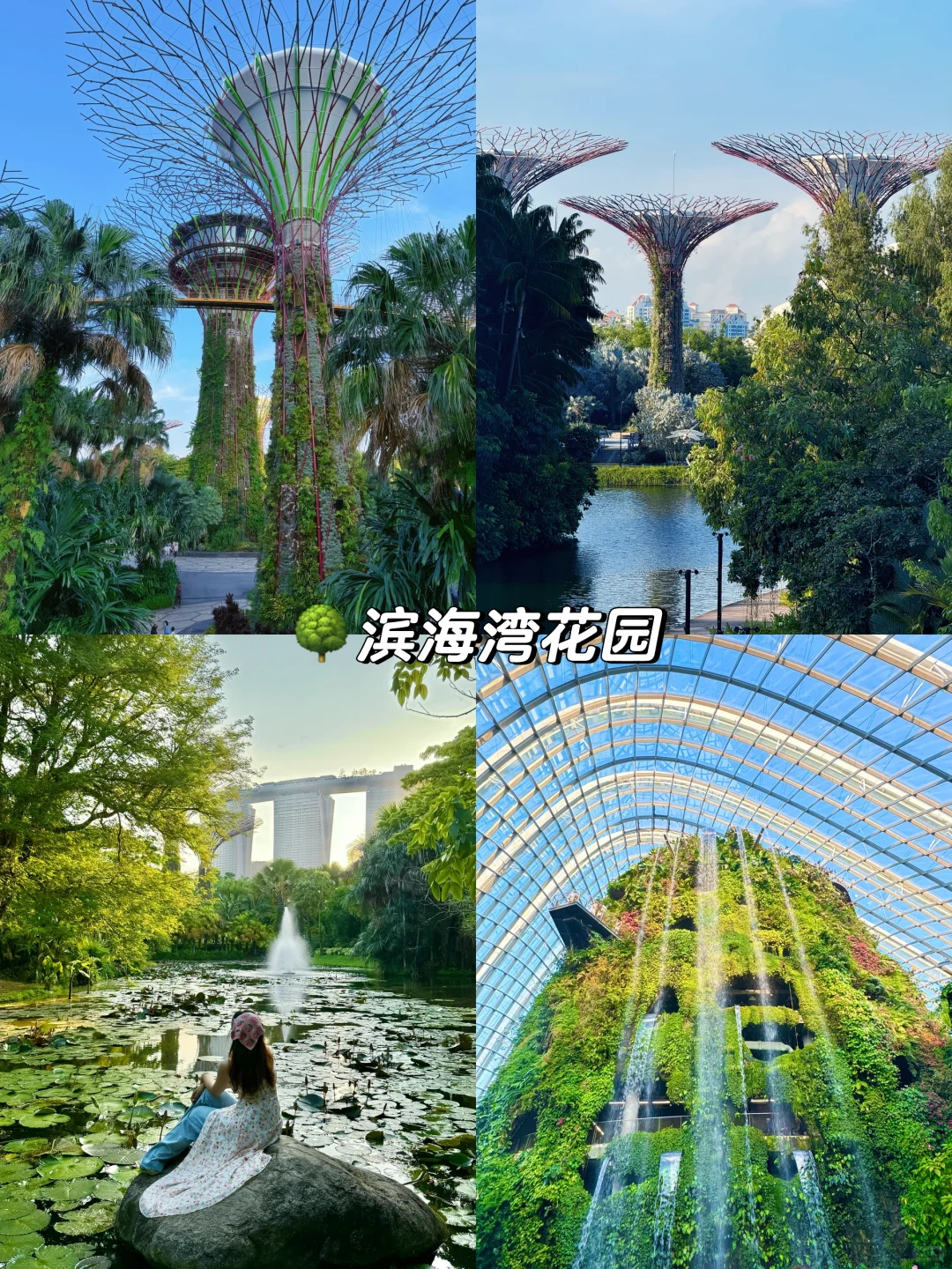 两天48h玩遍新加坡🇸🇬｜花园城市速通攻略！