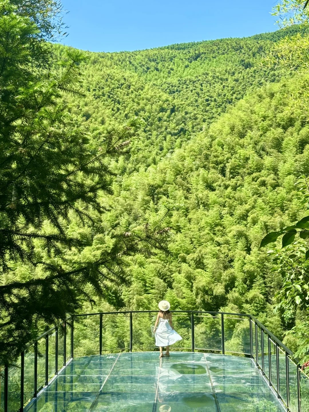 迄今为止，江浙沪我最爱的18℃避暑胜地出现了