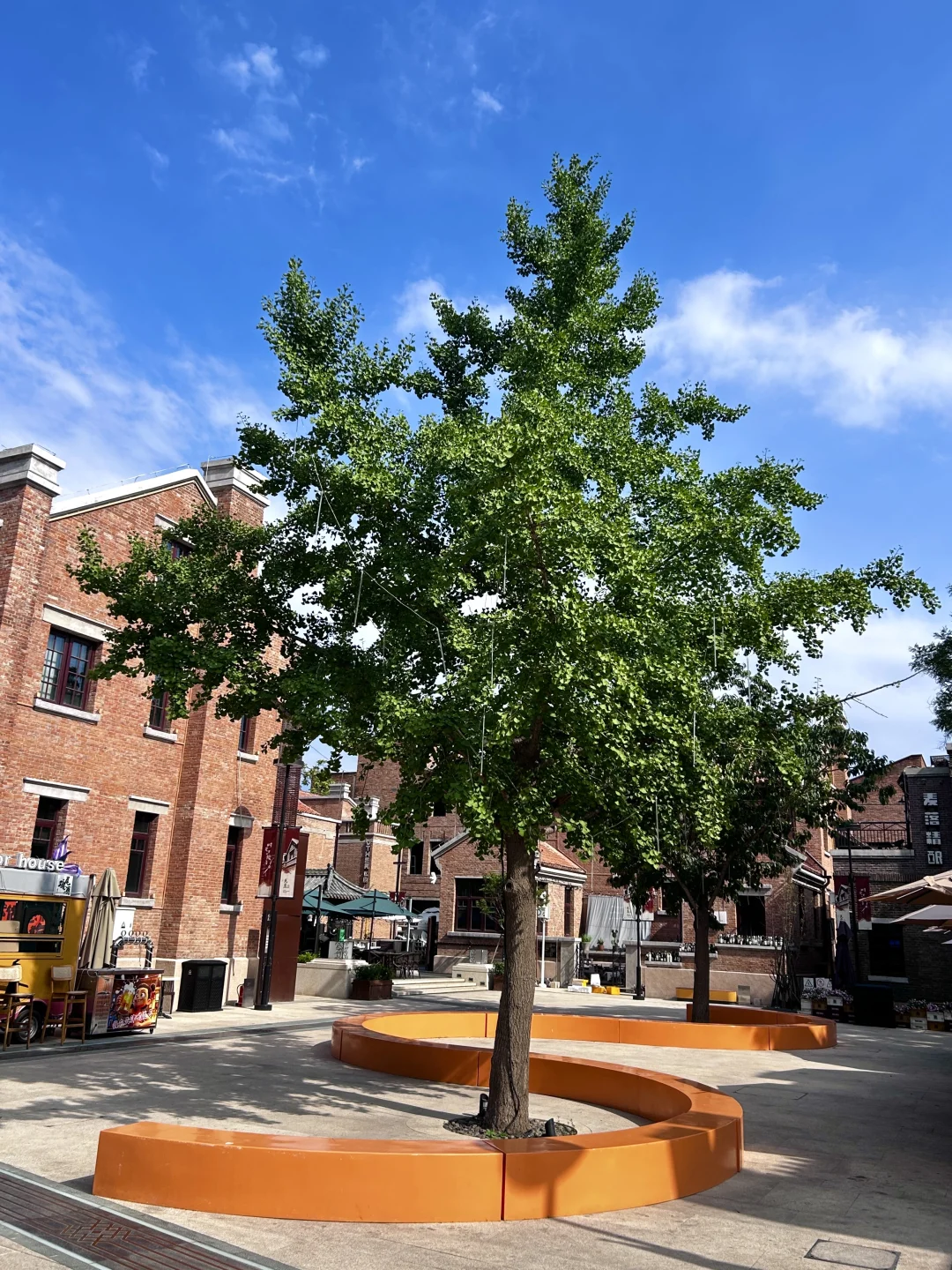 来欧洲city walk，跟天津似的