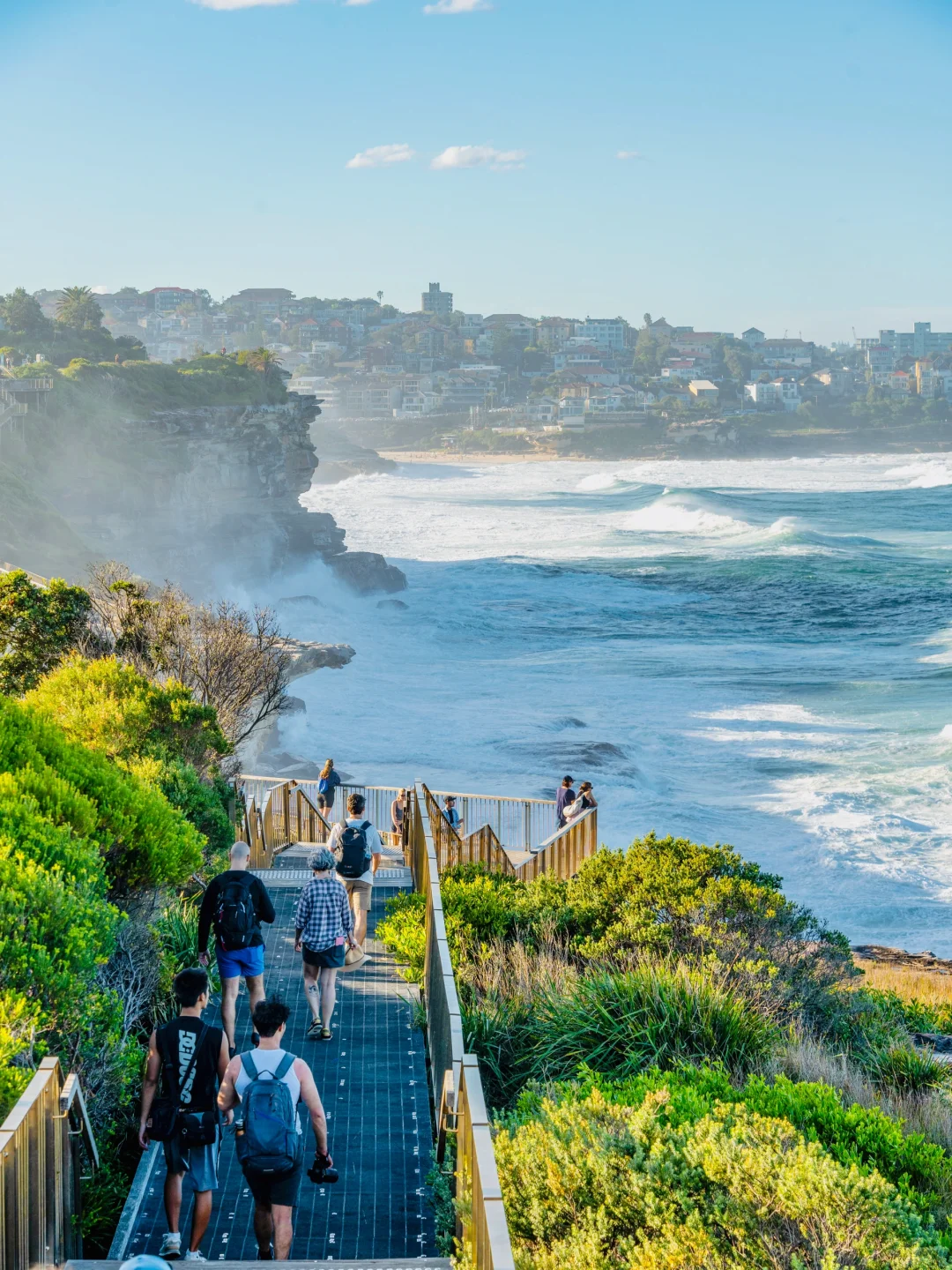 ✈️飞机降落前就会爱上的城市—悉尼